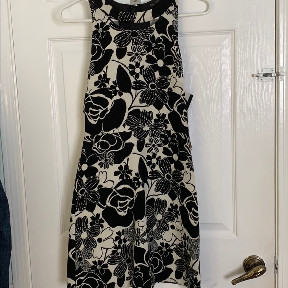 Zara Dress NWT
